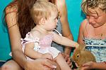     
: IMG_9762.jpg
: 288
:	136.0 
ID:	3832093