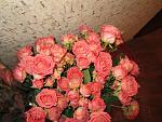    
: IMG_0296 (800x600).jpg
: 44
:	74.8 
ID:	3835336
