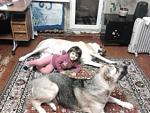     
: 2012-02-08 19.25.35.jpg
: 30
:	110.8 
ID:	3835342