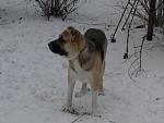     
: 2012-02-19 10.40.55.jpg
: 23
:	74.9 
ID:	3835361