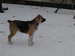     
: 2012-02-19 10.42.24.jpg
: 23
:	63.6 
ID:	3835362