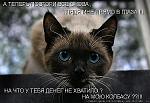     
: getImage.jpeg
: 19
:	45.9 
ID:	3835851
