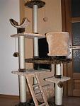     
: IMG_3971.jpg
: 101
:	84.7 
ID:	3838640