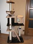     
: IMG_3969.jpg
: 99
:	78.6 
ID:	3838641