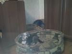     
: Фото0005.jpg
: 26
:	90.1 
ID:	3840829