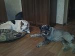     
: Фото0023.jpg
: 29
:	98.2 
ID:	3840837