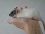     
: DSC00729.JPG
: 18
:	189.6 
ID:	3842179