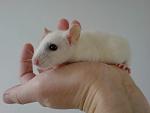     
: DSC00730.JPG
: 14
:	160.3 
ID:	3842182