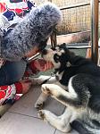     
: IMG_5320.jpg
: 230
:	135.3 
ID:	3846230
