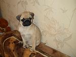     
: IMG_0479.jpg
: 53
:	124.7 
ID:	3853004