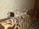     
: IMG_0518.jpg
: 57
:	145.1 
ID:	3853005