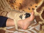     
: IMG_0474.jpg
: 57
:	148.9 
ID:	3853006