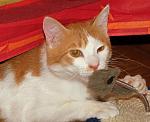     
: DSC_8489.jpg
: 23
:	186.3 
ID:	3855892