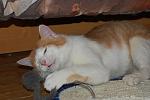     
: DSC_8507.jpg
: 24
:	100.7 
ID:	3855894