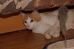     
: DSC_8513.jpg
: 20
:	82.3 
ID:	3855895