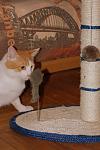     
: DSC_8497.jpg
: 24
:	85.5 
ID:	3855897