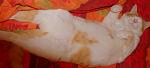     
: DSC_8529.jpg
: 28
:	53.2 
ID:	3858091