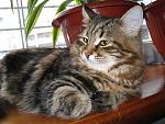     
: IMG_2840.jpg
: 21
:	188.3 
ID:	3859857