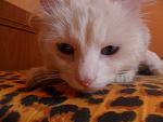     
: SAM_1113.jpg
: 20
:	94.8 
ID:	3860917