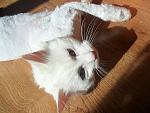     
: SAM_1103.jpg
: 25
:	142.1 
ID:	3860921