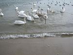     
: IMG_1968.jpg
: 80
:	162.2 
ID:	3869734