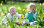     
: 41177865_1237332407_spring1.jpg
: 9
:	53.1 
ID:	3872634