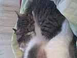     
: Фото0130.jpg
: 9
:	80.7 
ID:	3873394