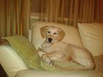     
: 2012-02-28 22.46.03.jpg
: 14
:	87.9 
ID:	3880219