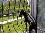     
: DSCN1831.jpg
: 31
:	277.0 
ID:	3881932