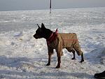     
: DSC01262.jpg
: 28
:	138.9 
ID:	3881959