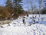     
: DSC05440.jpg
: 116
:	257.4 
ID:	3882961