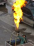     
: IMG_1150.jpg
: 17
:	117.8 
ID:	3883114