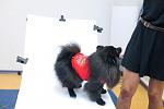     
: IMG_6989.jpg
: 35
:	42.4 
ID:	3884213