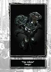     
: 1881_a.jpg
: 41
:	90.3 
ID:	3885102