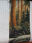     
: IMG_1847.jpg
: 68
:	242.4 
ID:	3889876