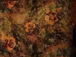     
: DSC02977.jpg
: 47
:	197.4 
ID:	3890479