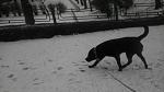     
: IMAG0458.jpg
: 26
:	276.6 
ID:	3890930