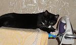     
: DSC03412 - .JPG
: 11
:	113.3 
ID:	3892112
