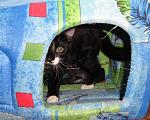     
: DSC04130.JPG
: 8
:	121.8 
ID:	3892114