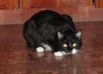     
: DSC04214.JPG
: 9
:	127.8 
ID:	3892120