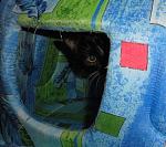    
: DSC04219.JPG
: 7
:	119.2 
ID:	3892121