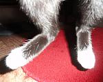     
: DSC03665.JPG
: 13
:	126.8 
ID:	3892218