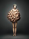     
: 44850962_siski.jpg
: 32
:	41.7 
ID:	389560