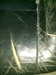     
: 14122010031.jpg
: 20
:	104.6 
ID:	3901819