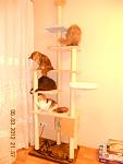     
: DSCN2840.jpg
: 62
:	60.8 
ID:	3901906