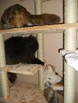     
: DSCN2837.jpg
: 40
:	80.1 
ID:	3901914