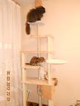     
: DSCN2847.jpg
: 37
:	52.1 
ID:	3901917