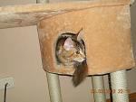     
: DSCN2866.jpg
: 33
:	112.8 
ID:	3901941
