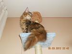     
: DSCN2893.jpg
: 42
:	63.6 
ID:	3901942