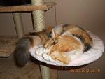     
: DSCN2892.jpg
: 32
:	100.2 
ID:	3901987